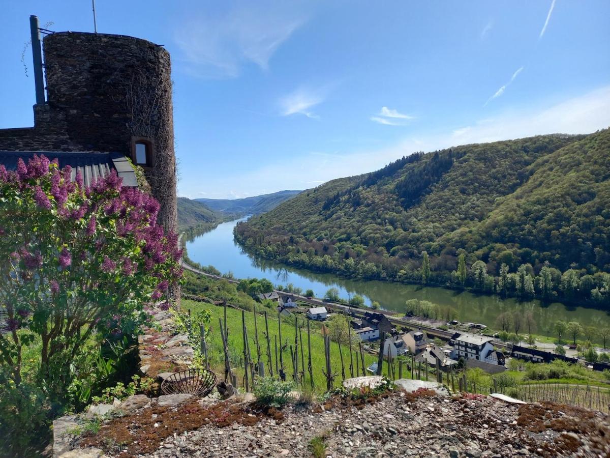 Mosel Panorama Studio auf Burg Coraidelstein - 4