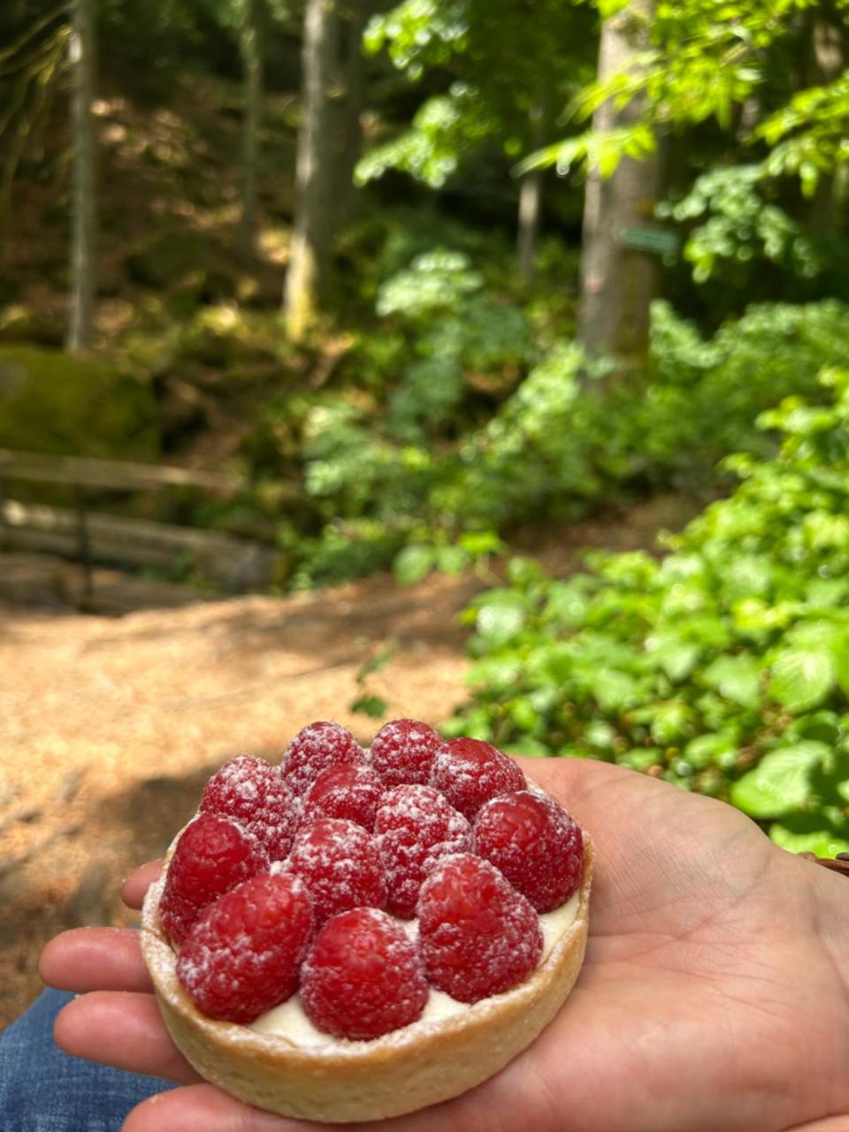 Ciao Fewo Birkenwald 你好白桦林民宿 - 5