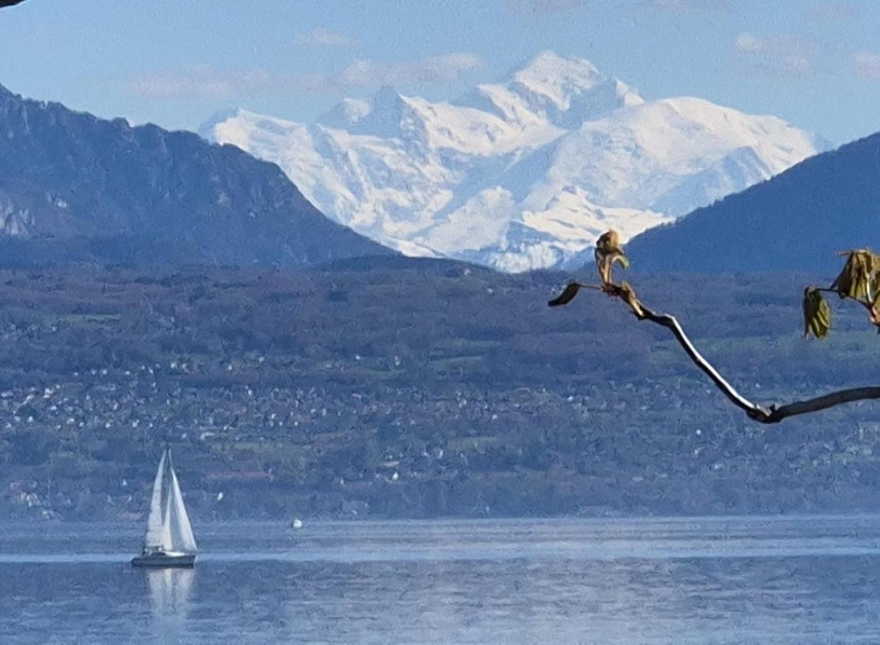 Foto - Romantik Hotel Mont Blanc au Lac