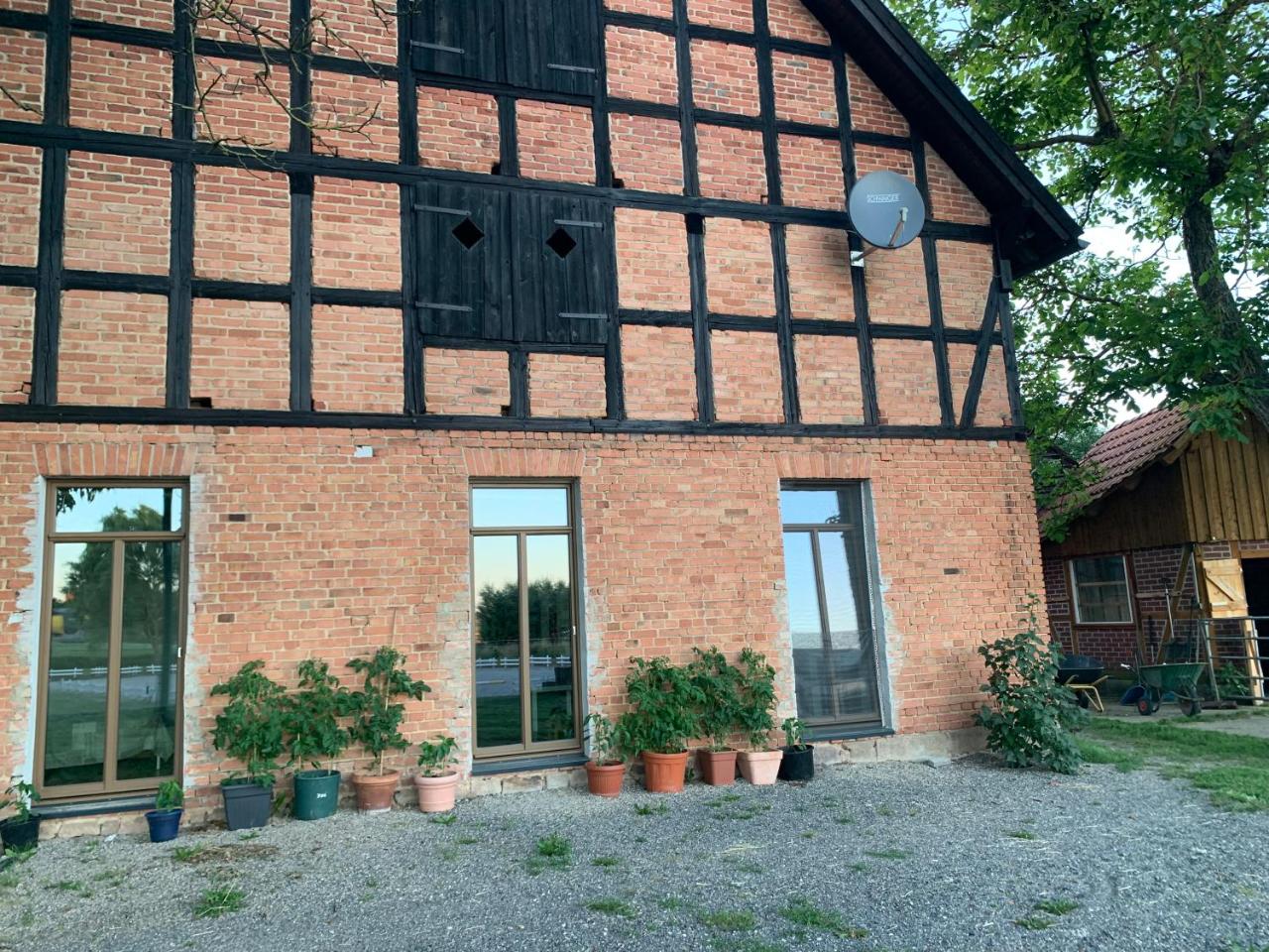 Urige FeWo im Wiesengrund - 6