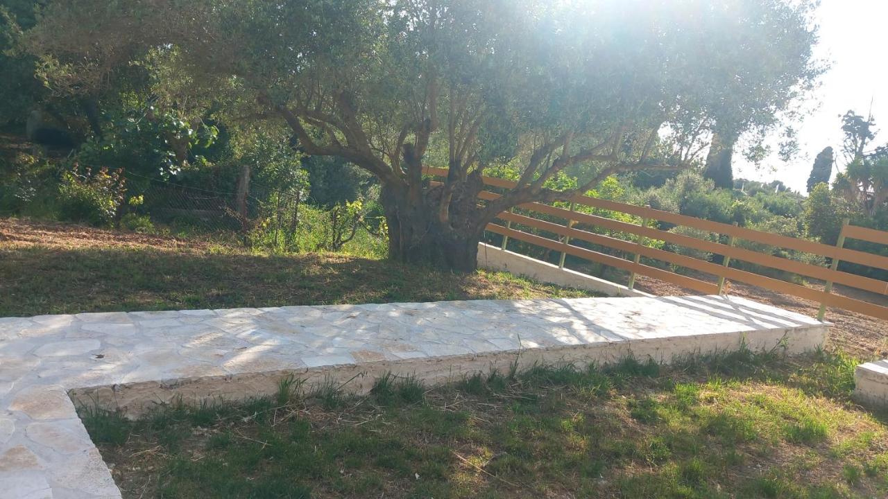 Villa Mareta - 6
