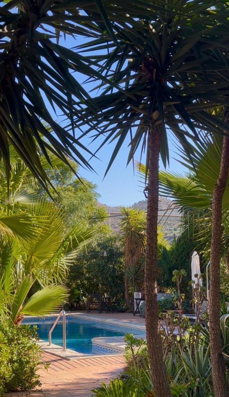 La Finca Blanca photo 4