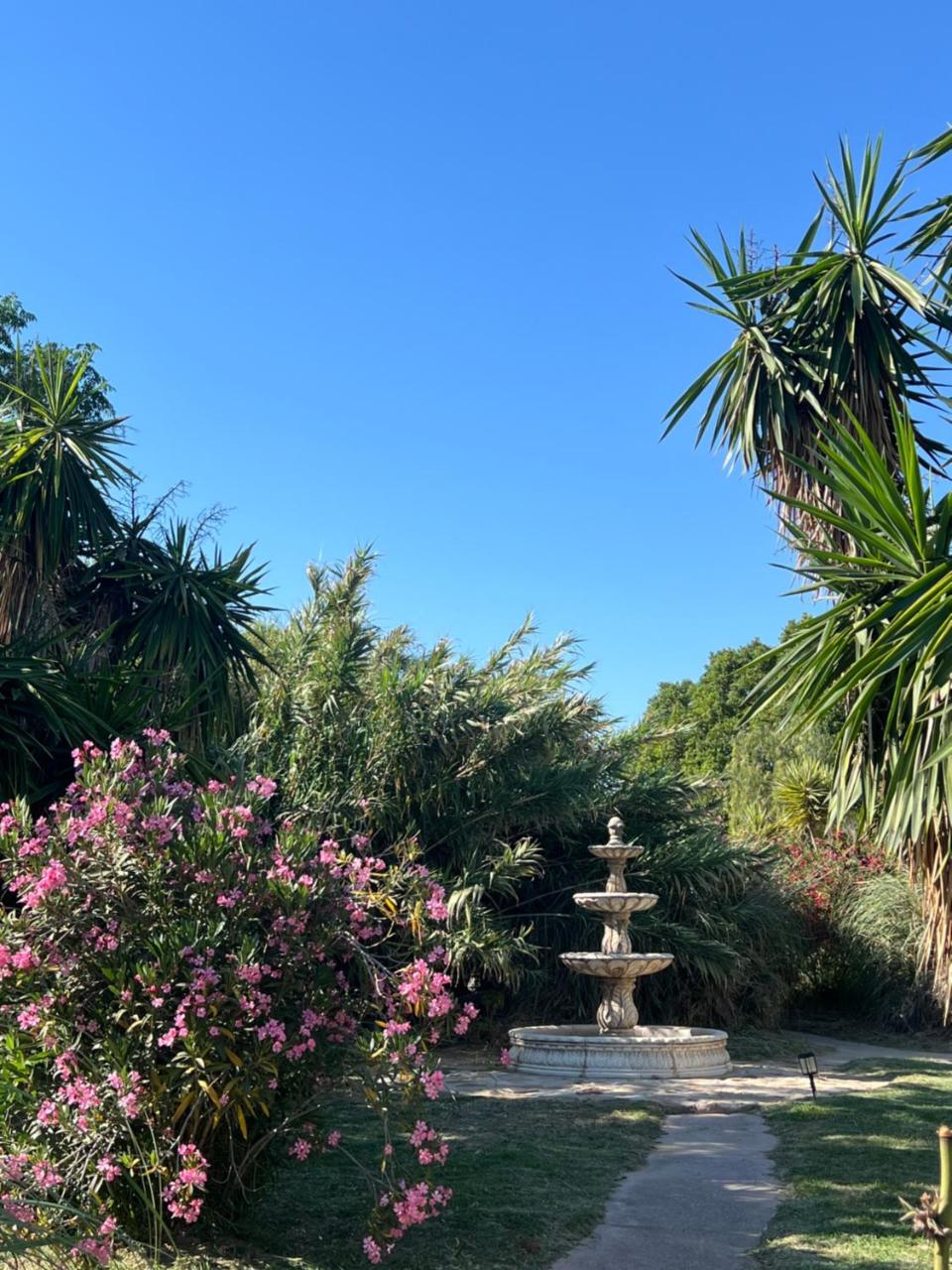 La Finca Blanca photo 2