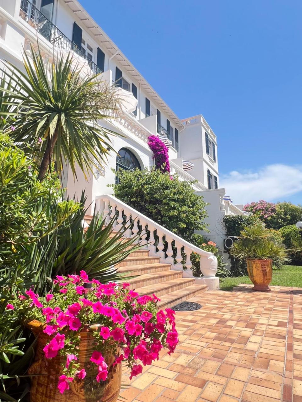 Hotel des Mimosas photo 4