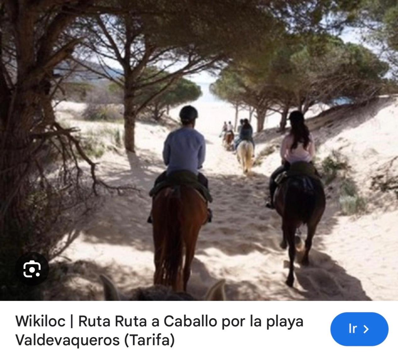 Arcos de Tarifa, Casco historico, aparcamiento - 6