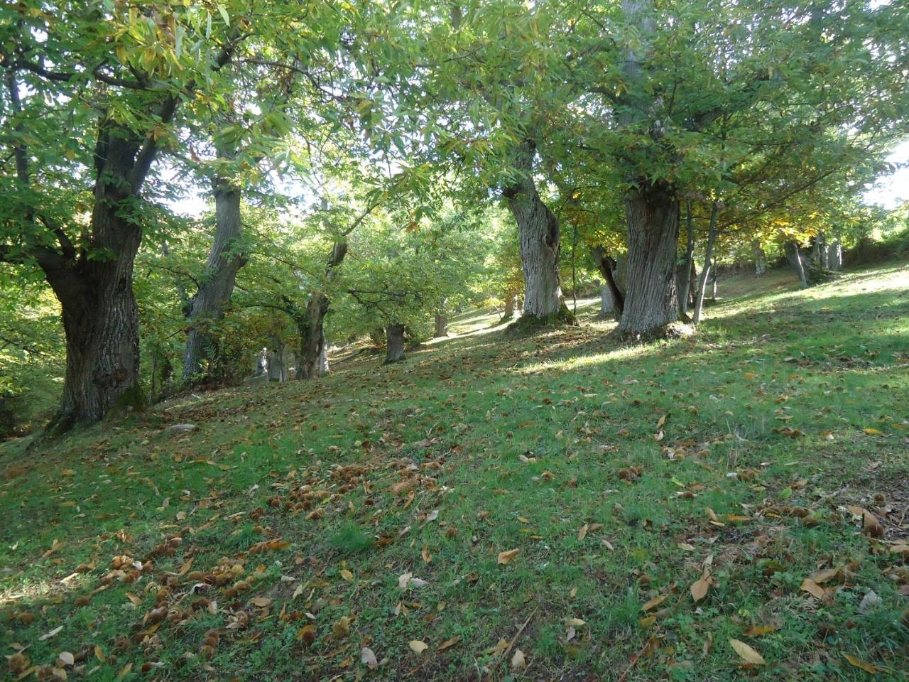 Agriturismo I Monti di Salecchio photo 2
