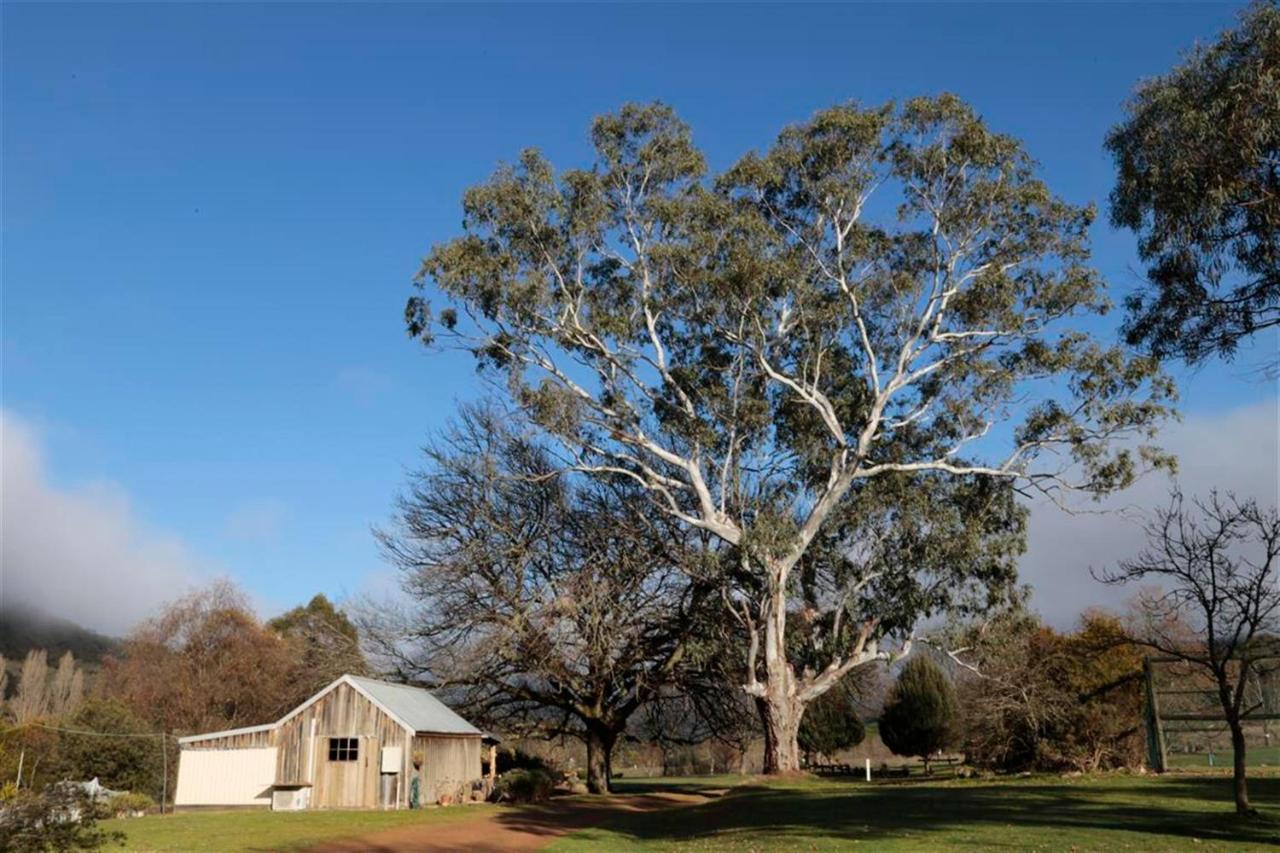 Jamieson Valley Retreat photo 2