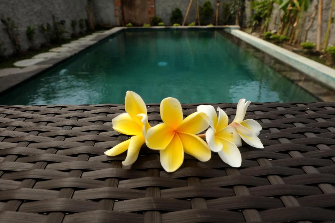 Foto - Eka Bali Guest House
