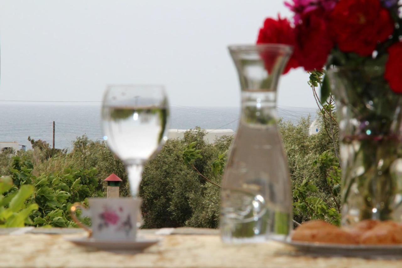 Dimitra Studios - 6