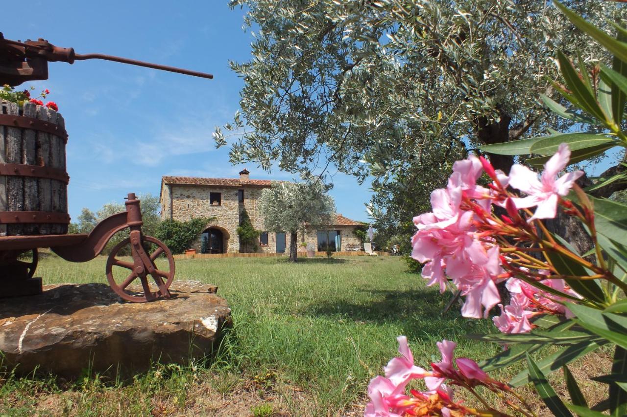 Casetta dell`Uliveto photo 3