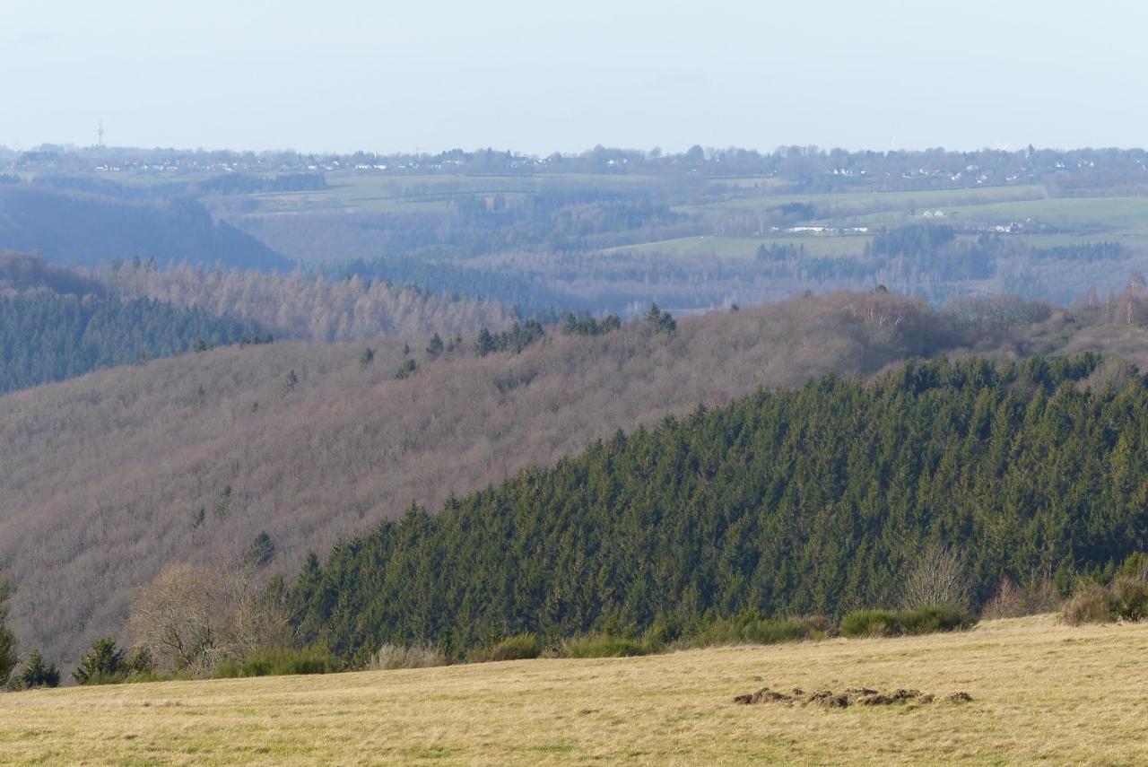 Chalets am National Park Eifel photo 3