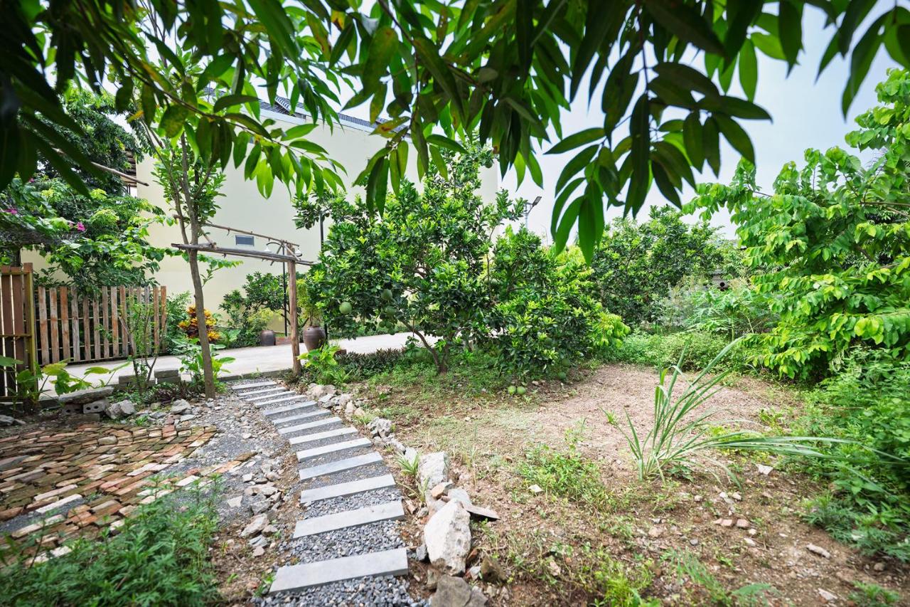 Tam Coc Pomelo Garden By ANMS GROUP photo 3