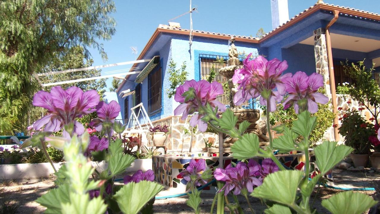 Casa Rural Mi Campo photo 3