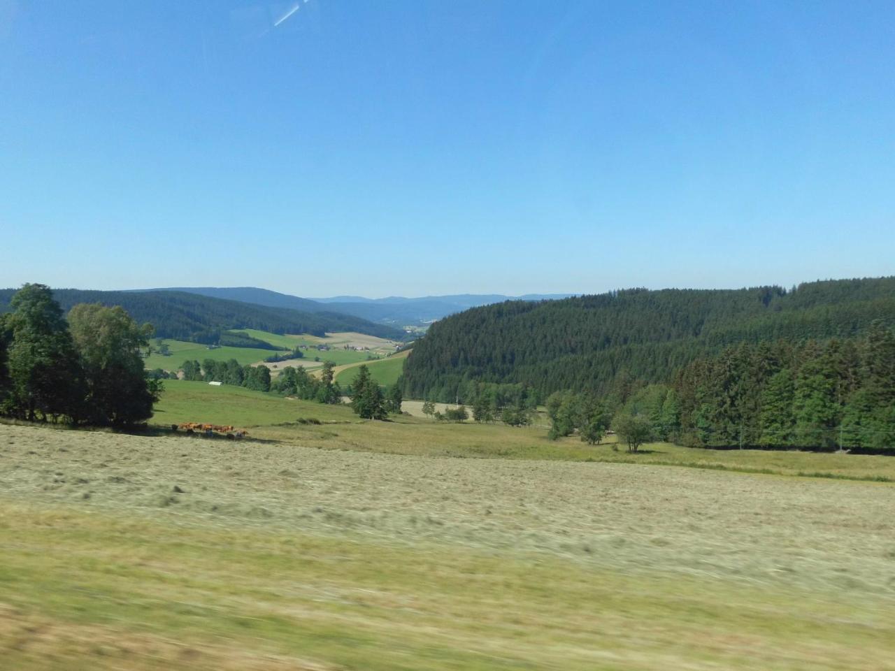 Schwarzwaldgasthaus Salenhof photo 4