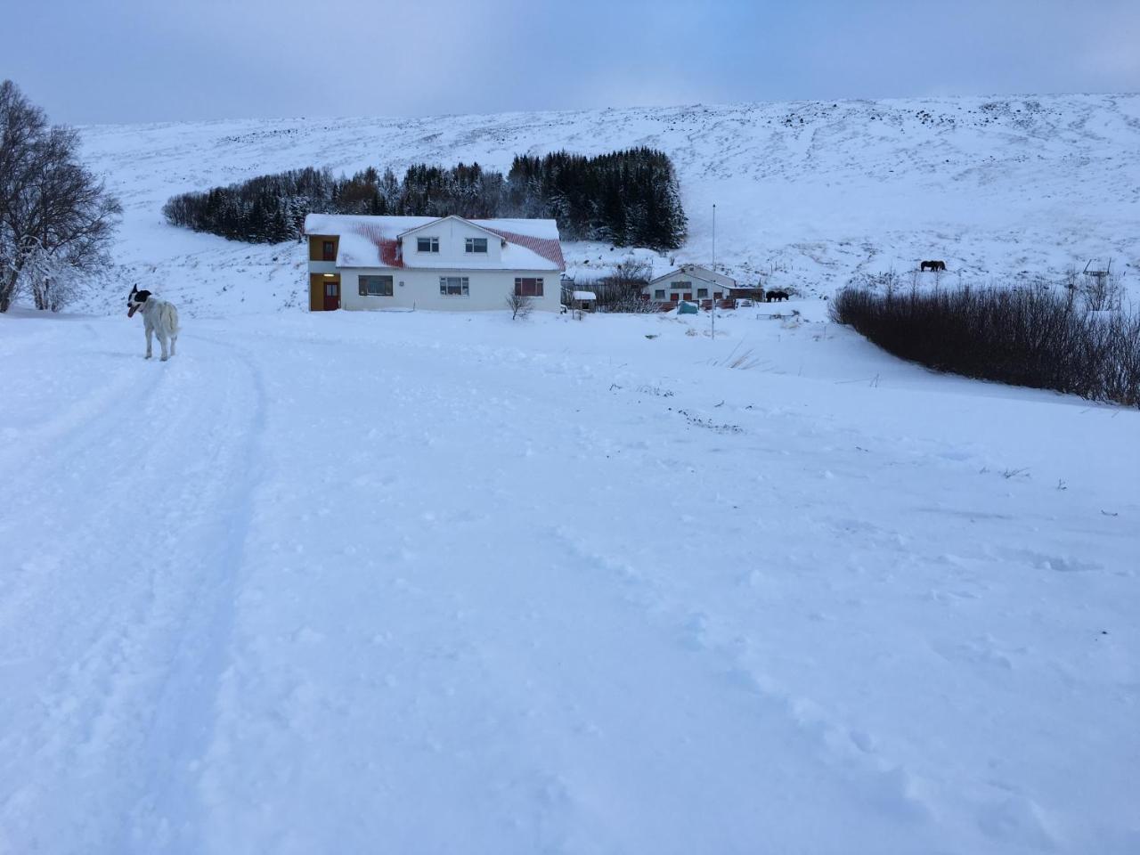 Öndólfsstaðir Farm B&B photo 2