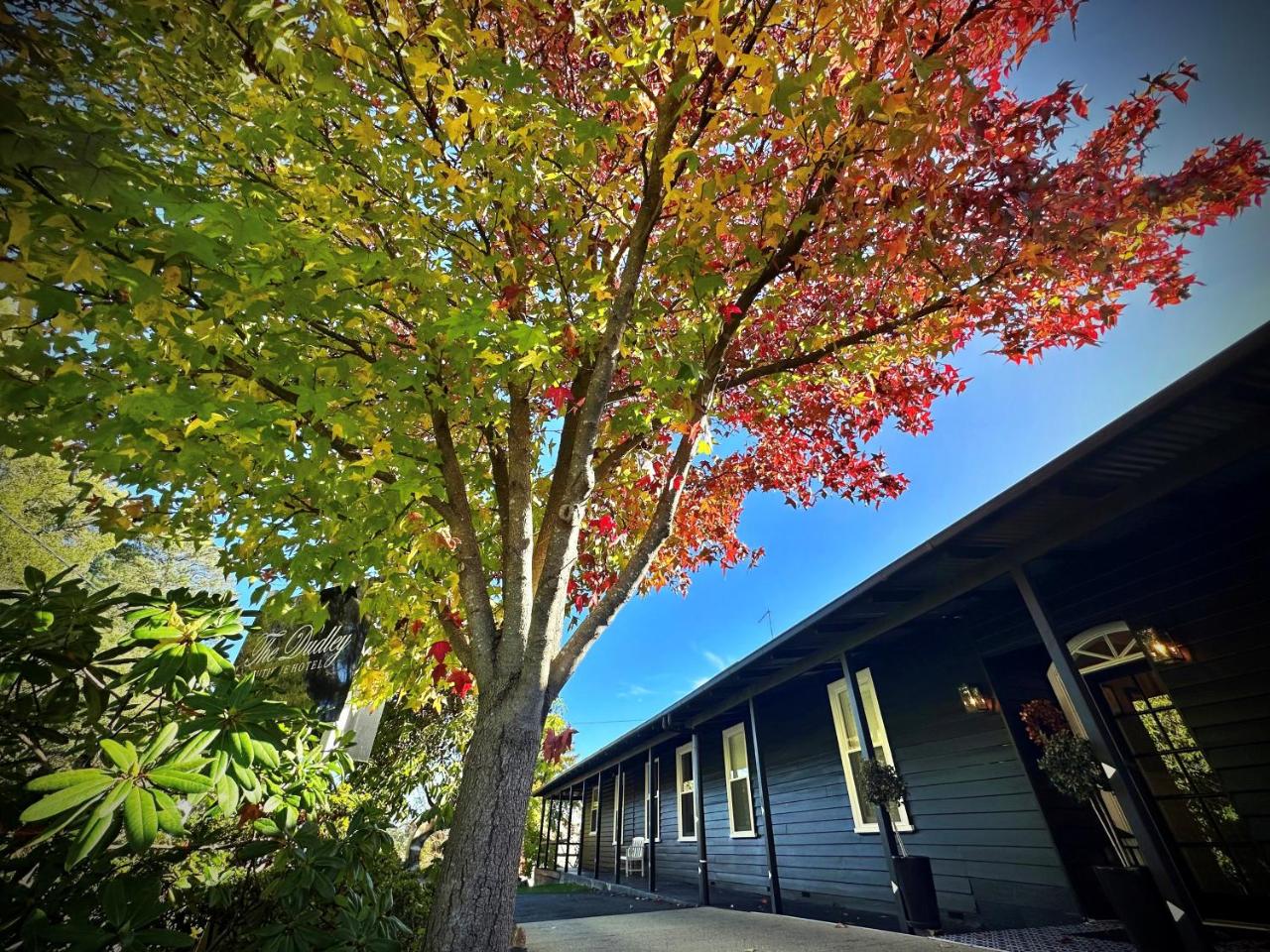 The Dudley Boutique Hotel