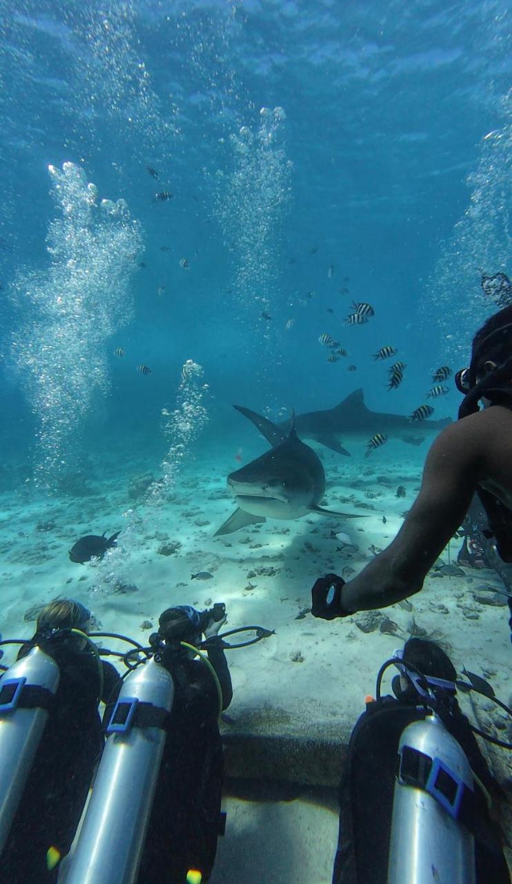 Silver County Fuvahmulah Diving Hotel