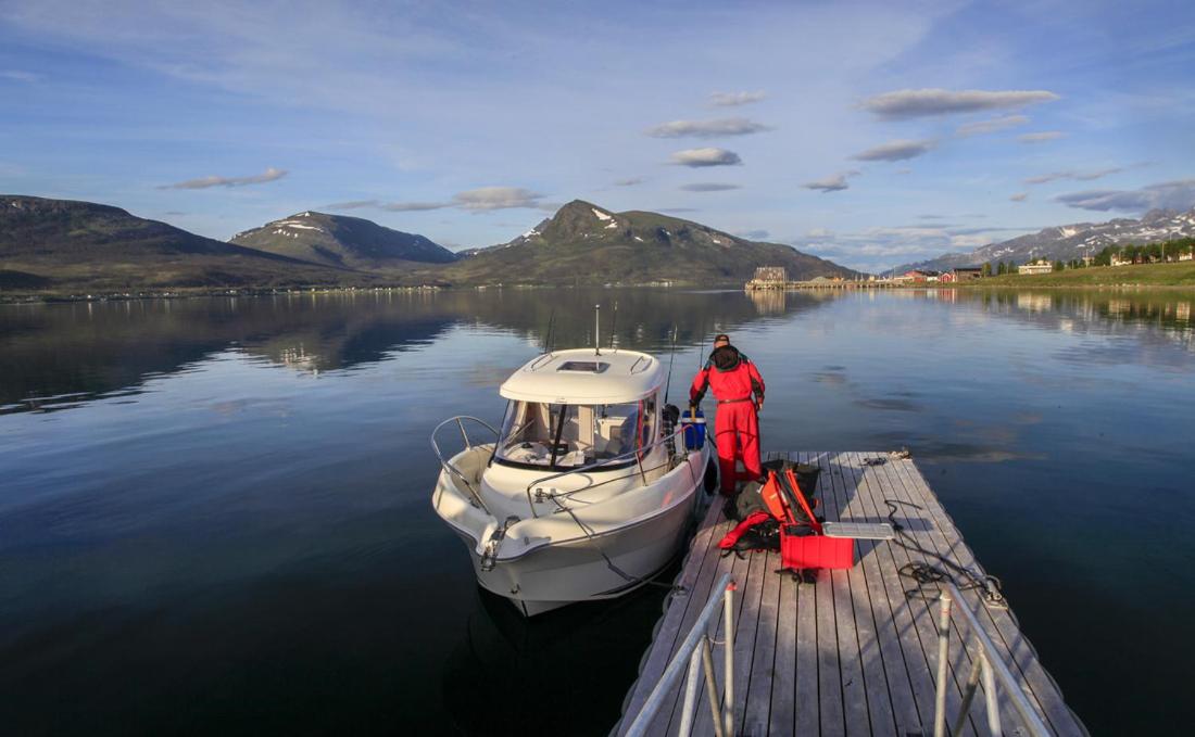 Hansnes Havfiske photo 2