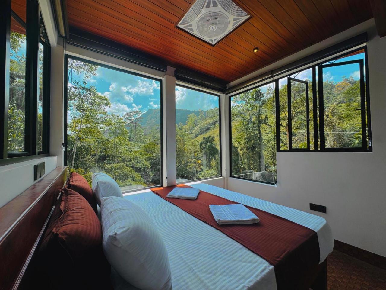 Rainforest cabin