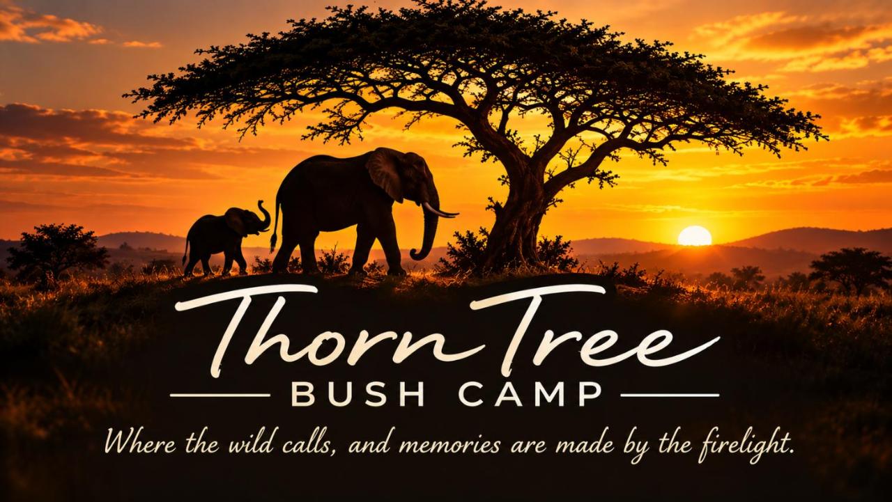 Thorn Tree Bush Camp
