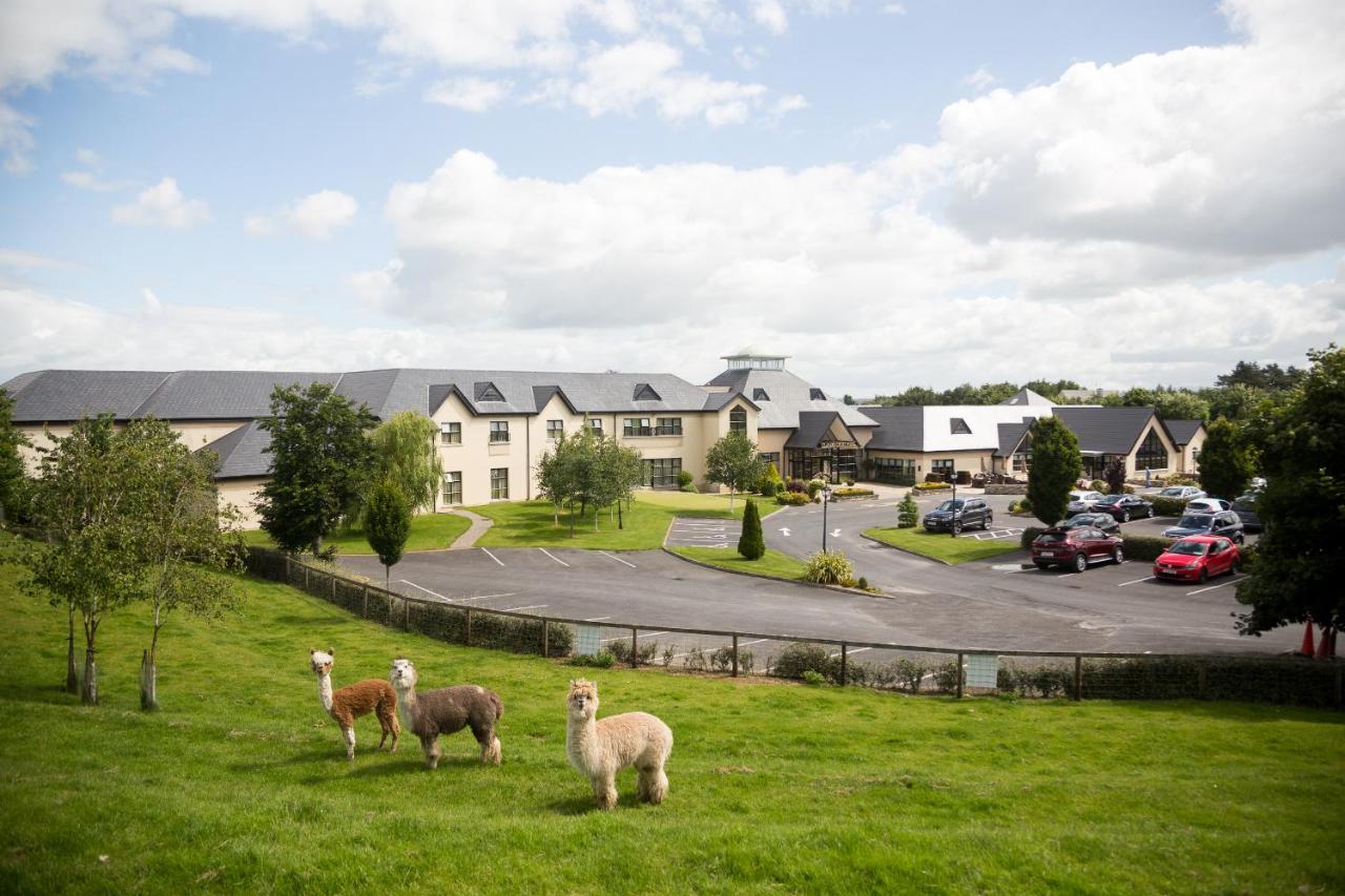 Clanard Court Hotel - 4