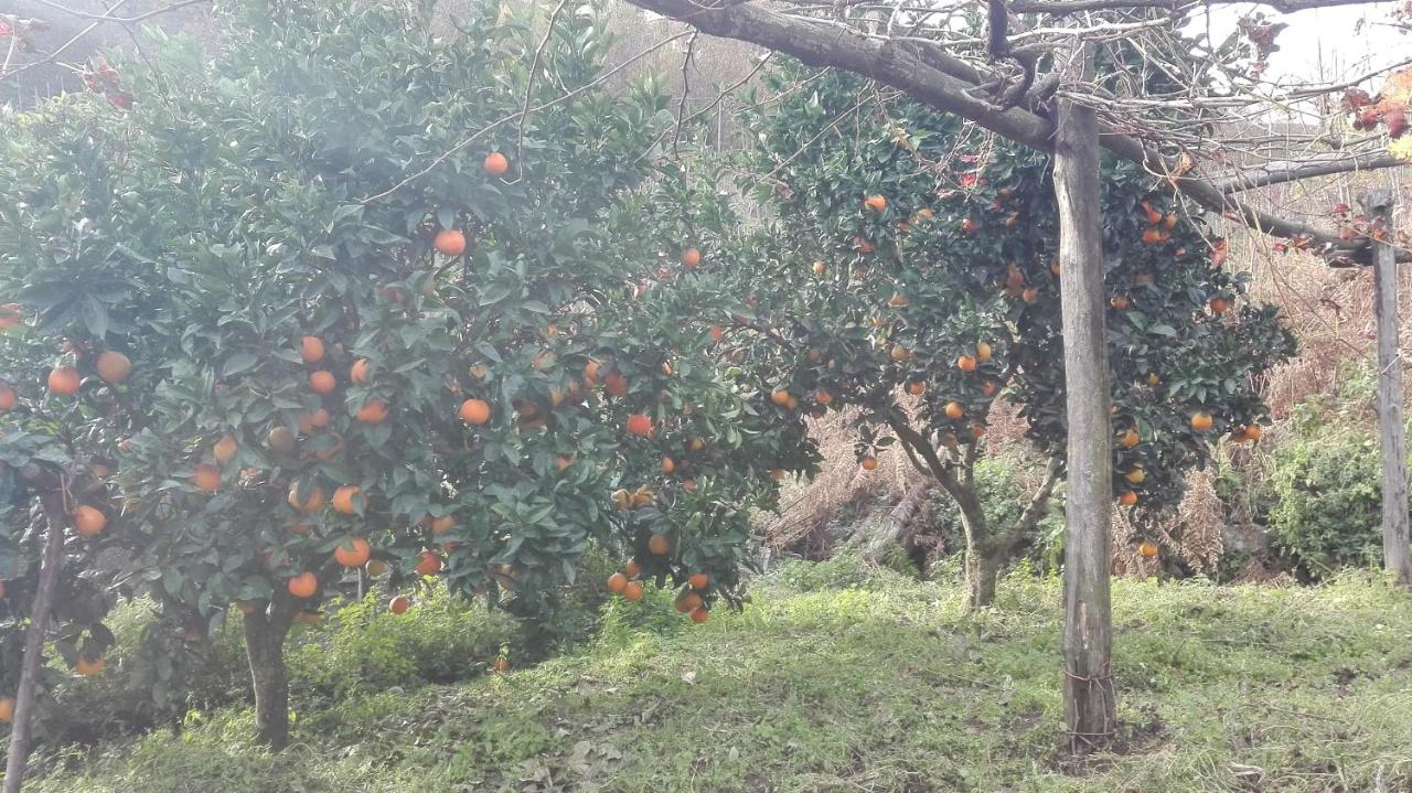 Agriturismo Mare e Monti photo 2