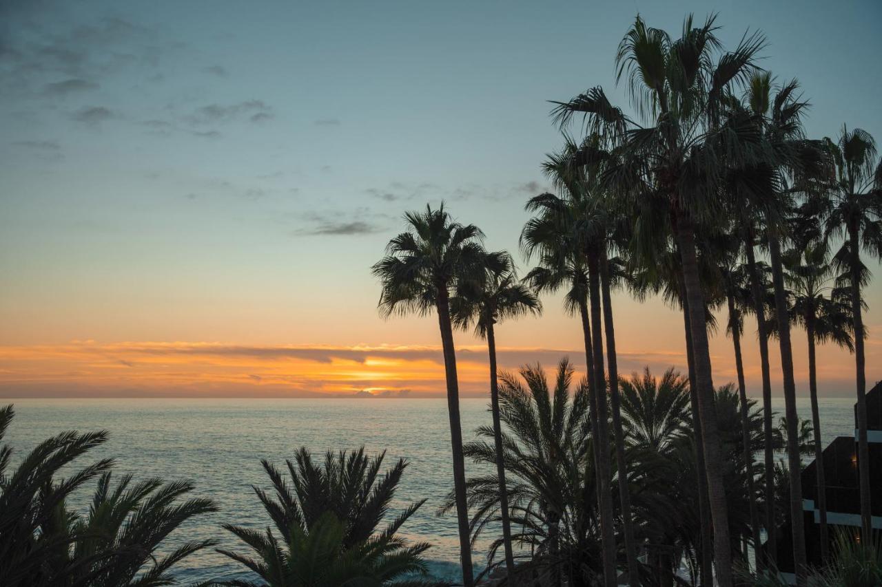 Melia La Palma photo 3