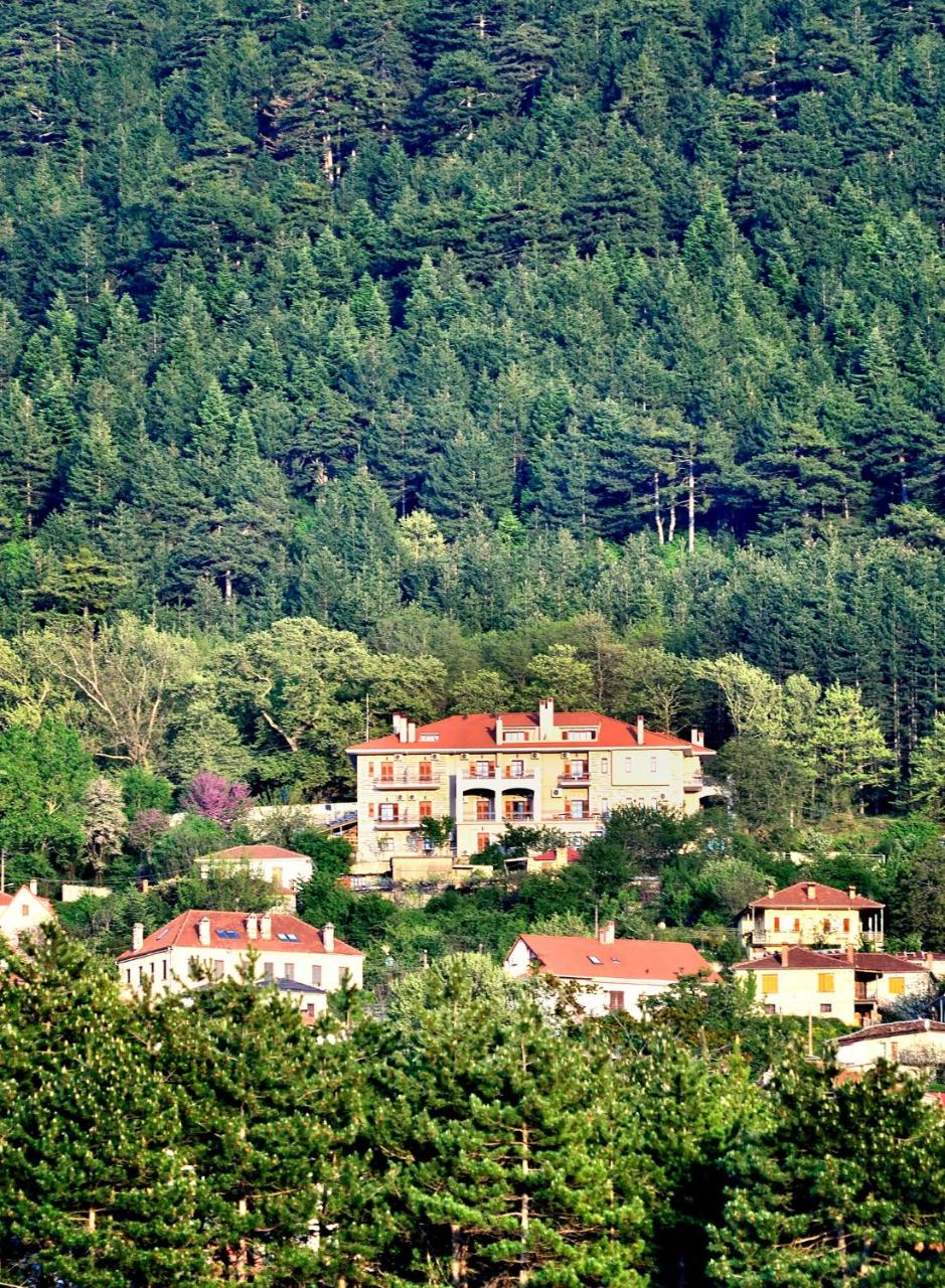 Konitsa Mountain Hotel
