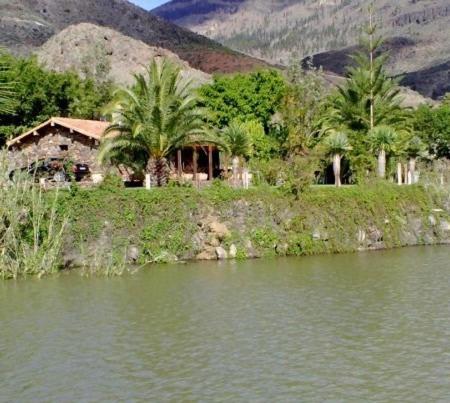 Photo - Villa Romántica