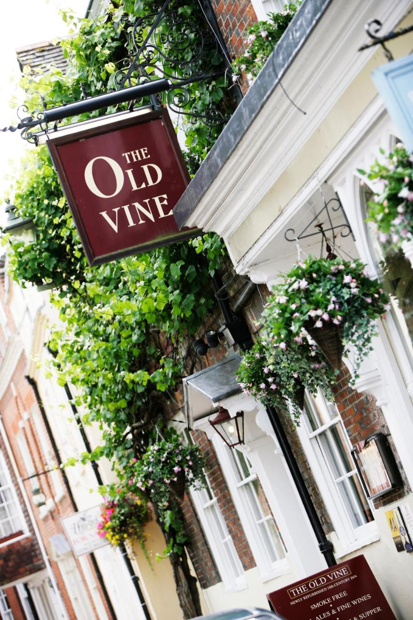 The Old Vine - 4