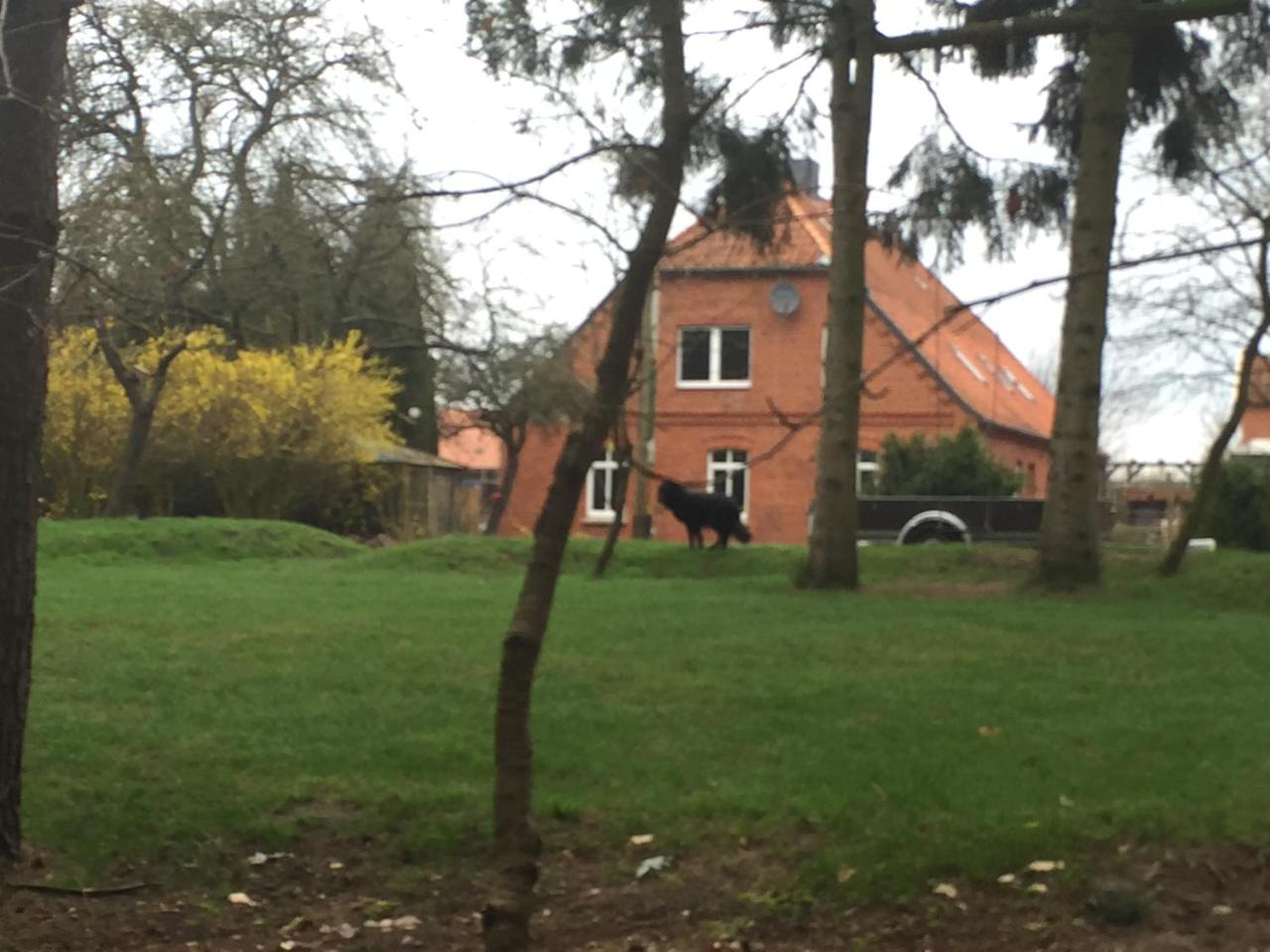 Ferienwohnung Garten Eben - 4