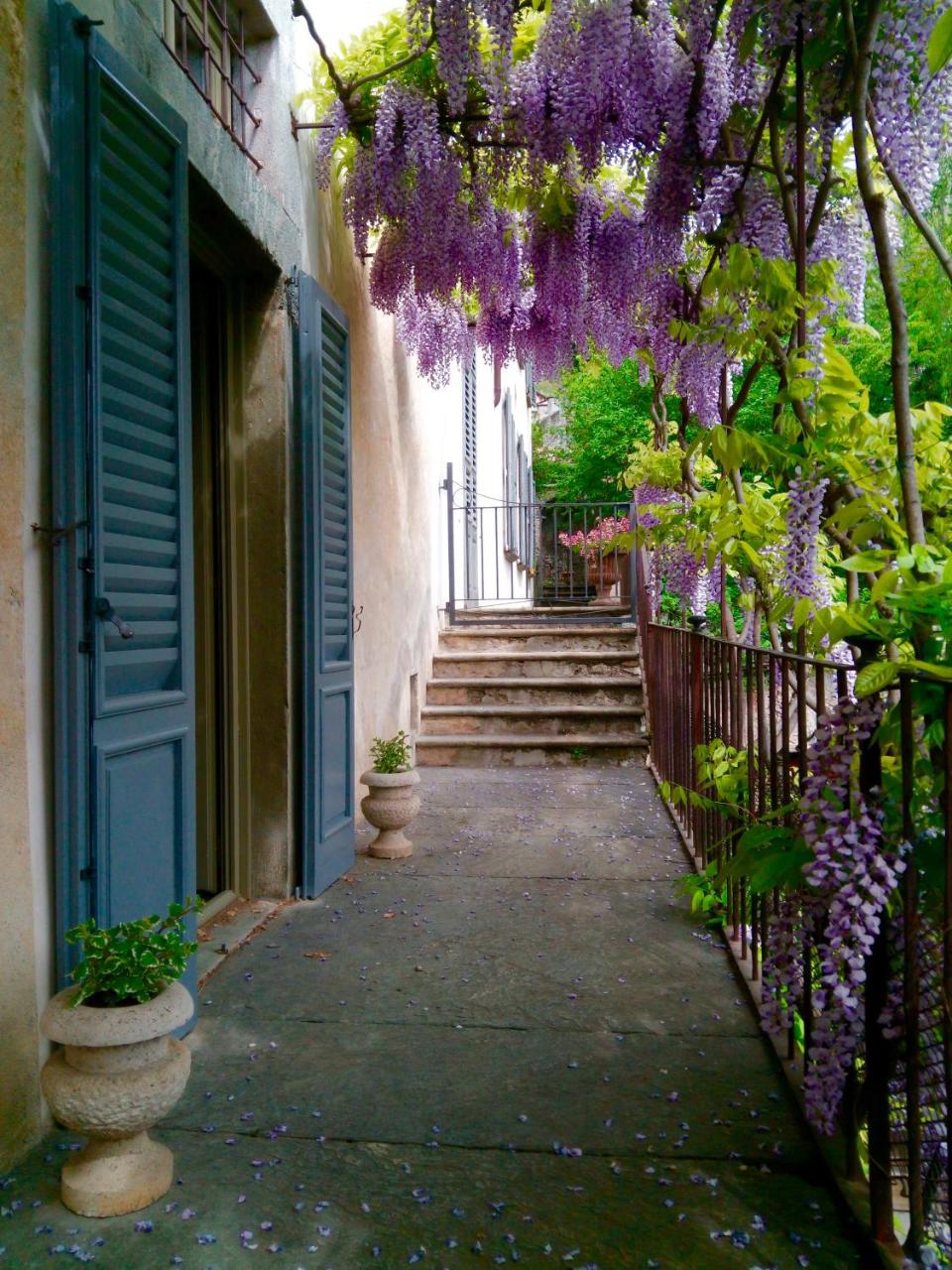 Palazzo Guicciardi photo 4