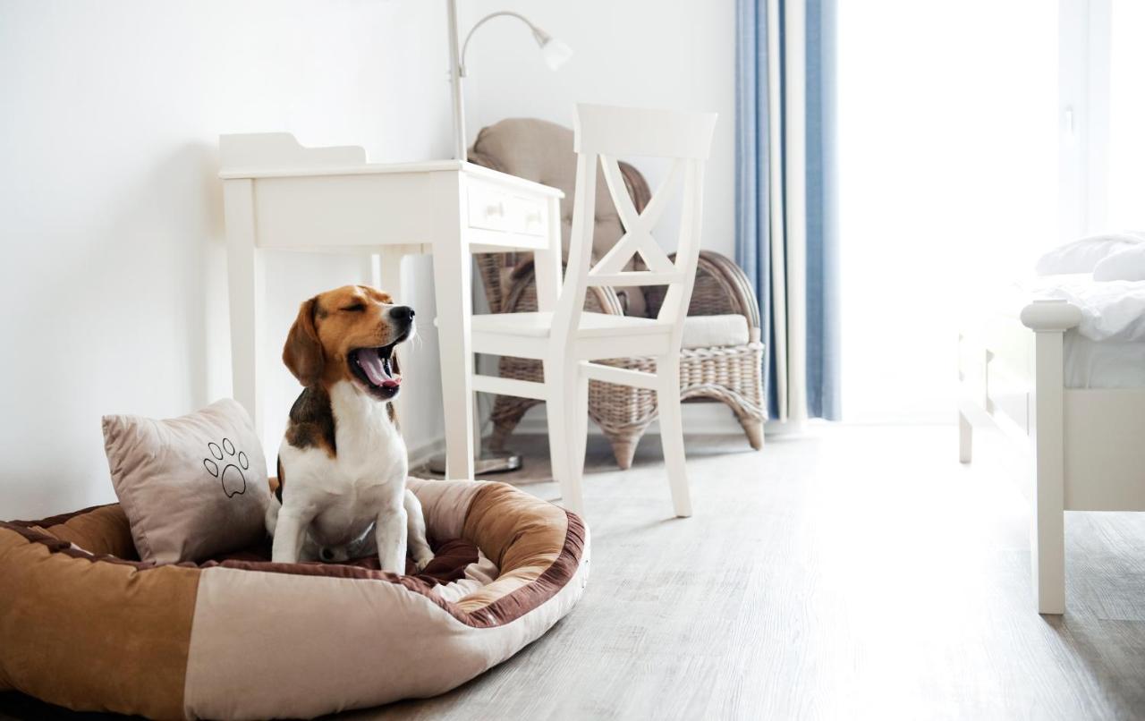 Hotel Pharisäerhof - DAS Hundehotel auf Nordstrand mit Restaurant und Café