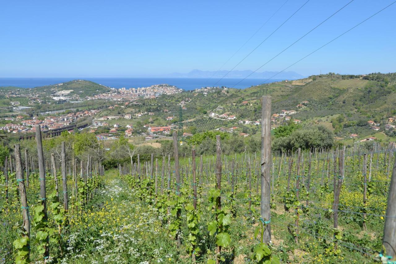 La Locanda di Campagna photo 2