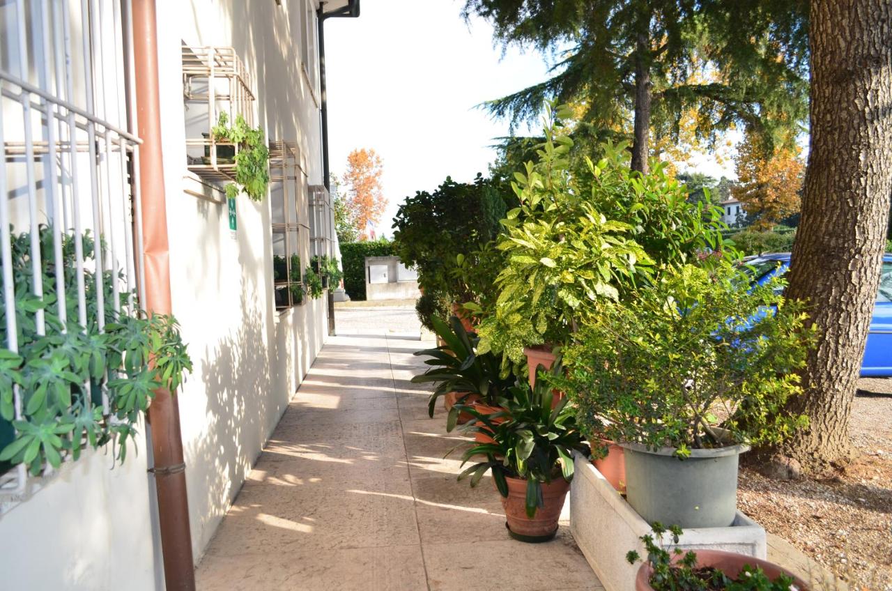 Hotel Magnolia photo 3
