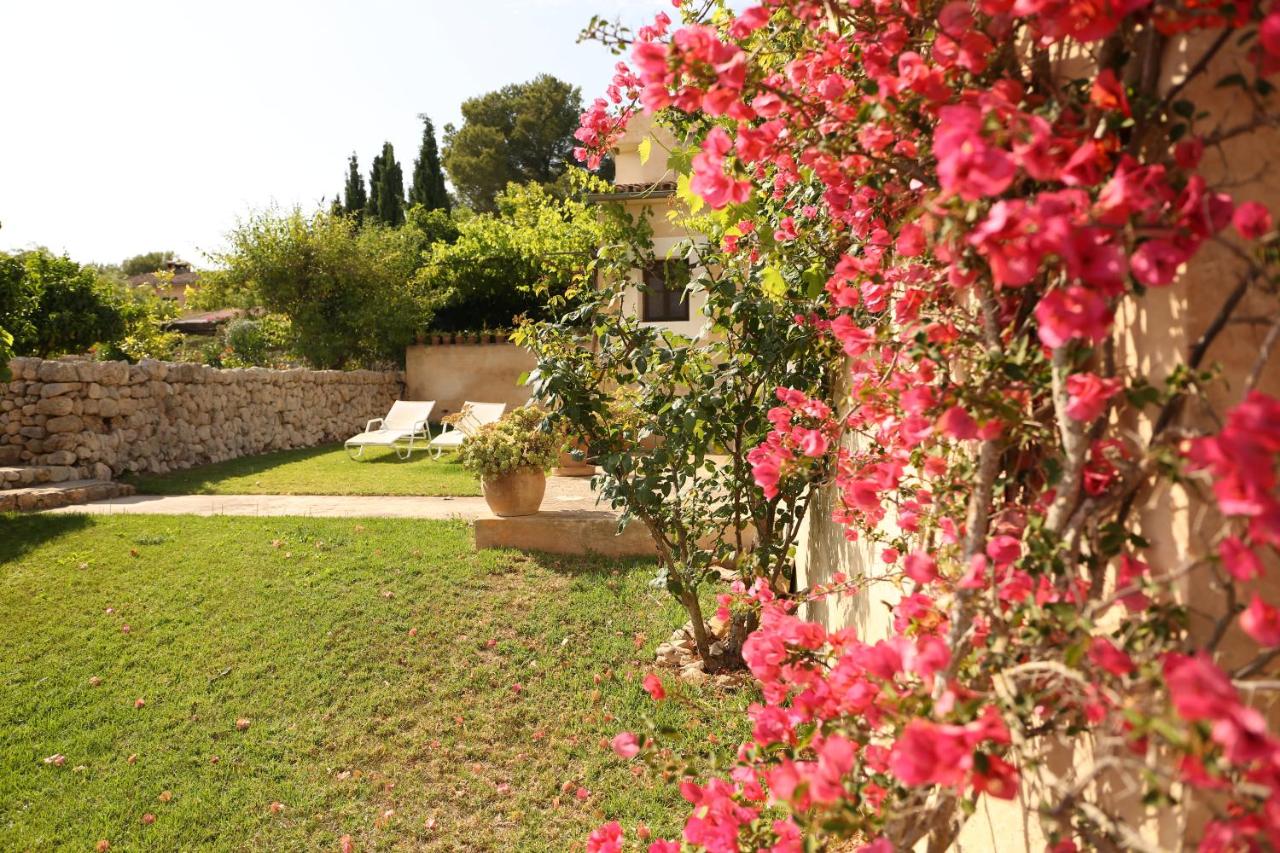 Oliver Moragues Grandhouse & Vineyard photo 2