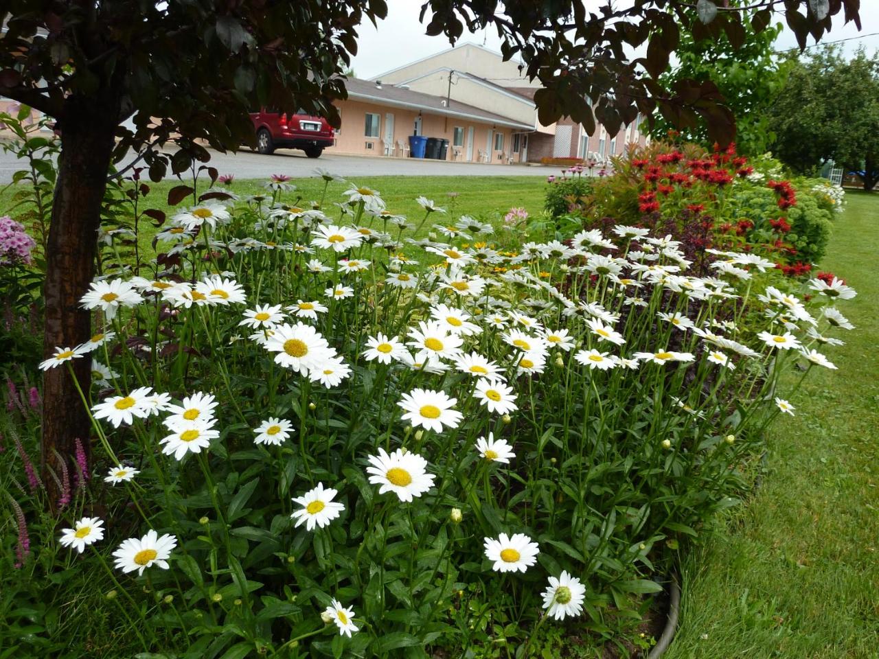 Motel Becancour