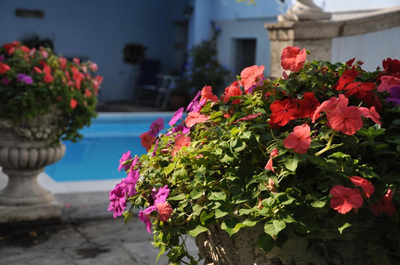 Villa Annamaria B&B - 5