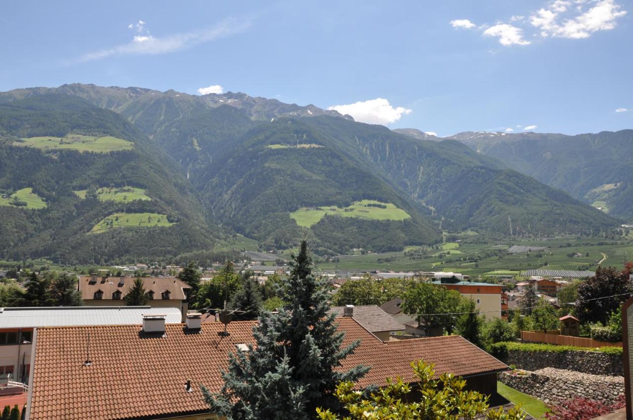 Hotel Weingarten photo 3