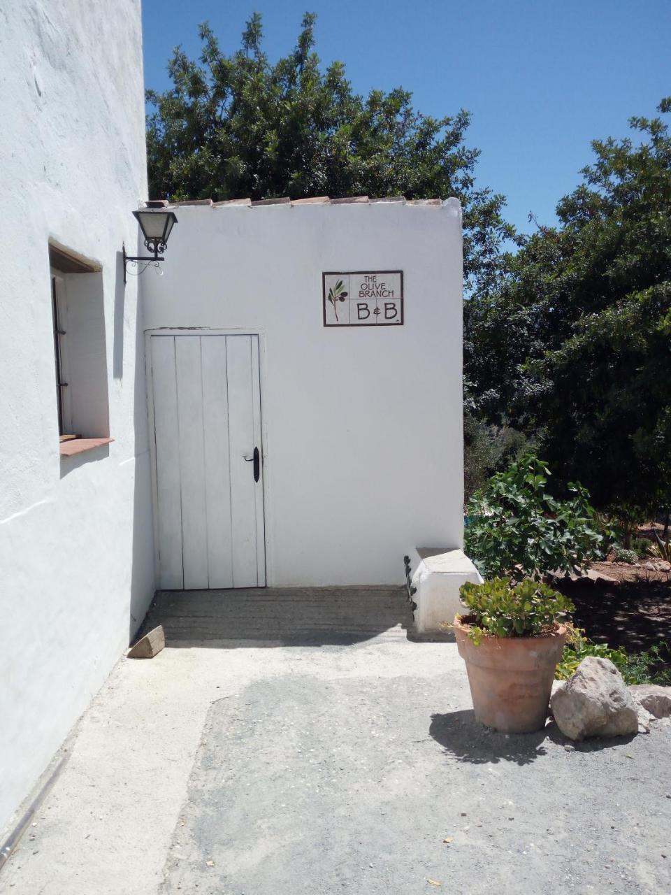 Olive Branch El Chorro - 6