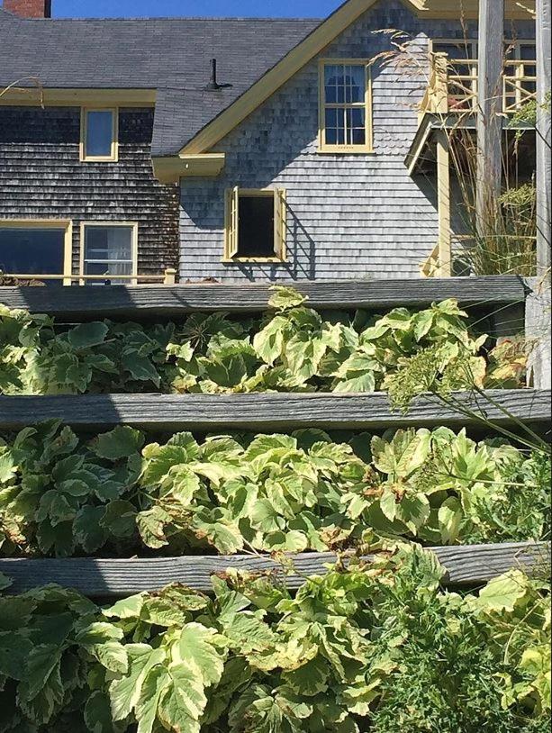 Acadia Bay Inn photo 2