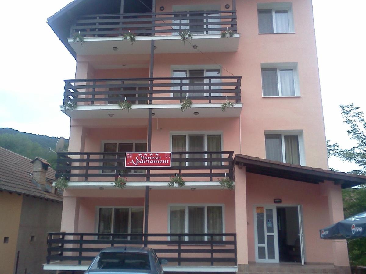 Olanesti Apartament - B&B