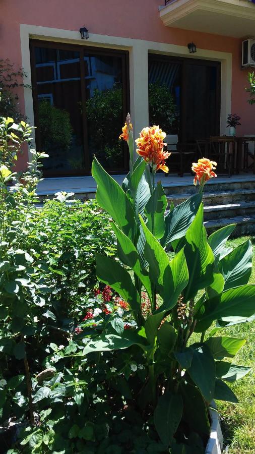 Epavli Veneti - Ferienwohnung Parga