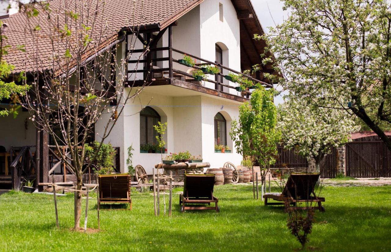 B&B Cârţişoara - Casa Mosului - Bed and Breakfast Cârţişoara