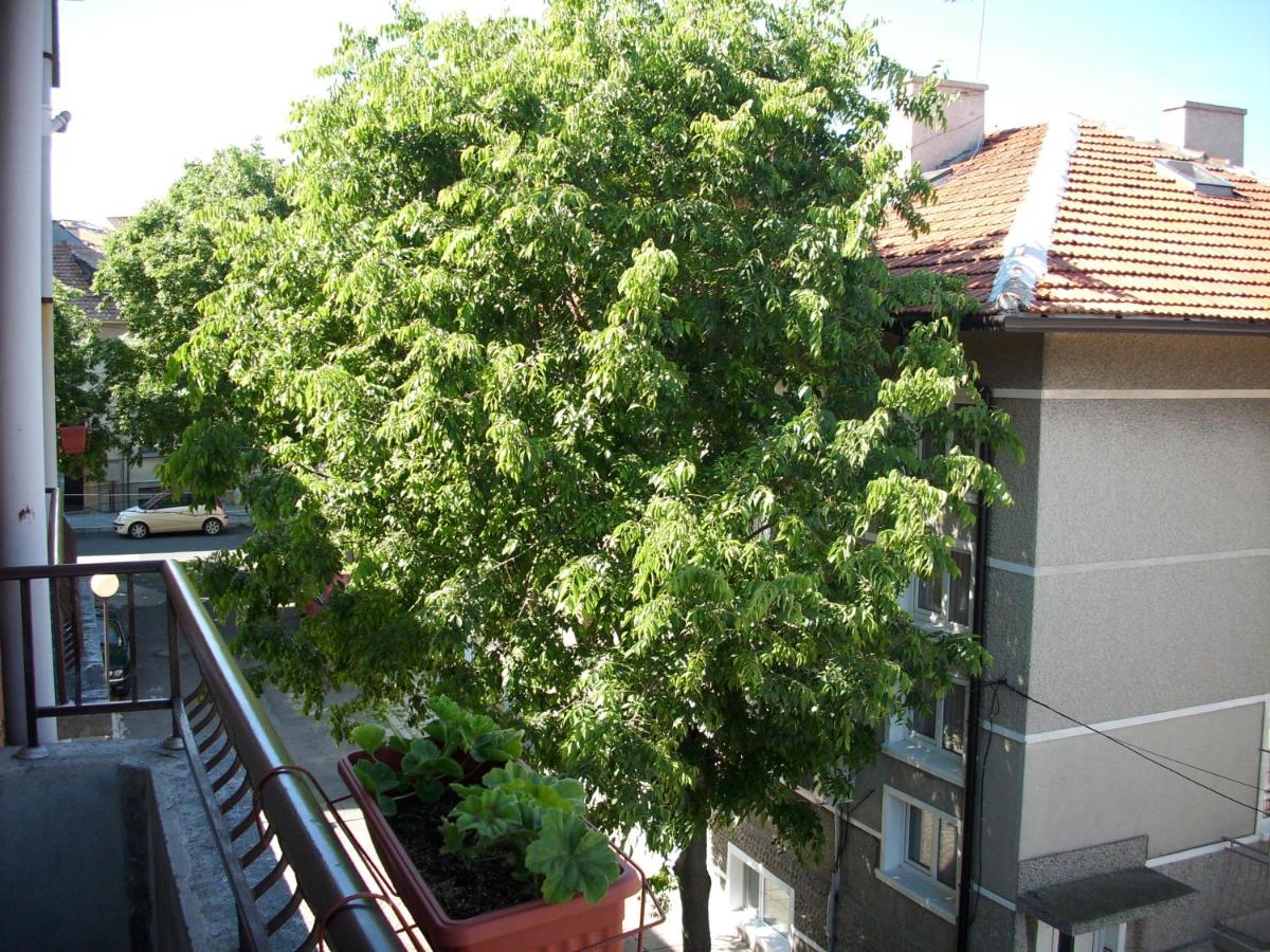 Georgievi Guest House - B&B