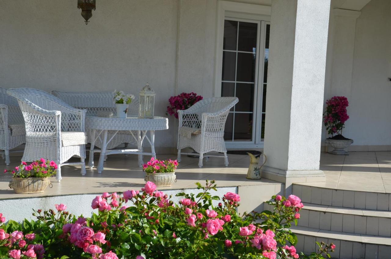 Zielone Zacisze - Slow Resort w sielskim klimacie - B&B Murzynowo Kościelne