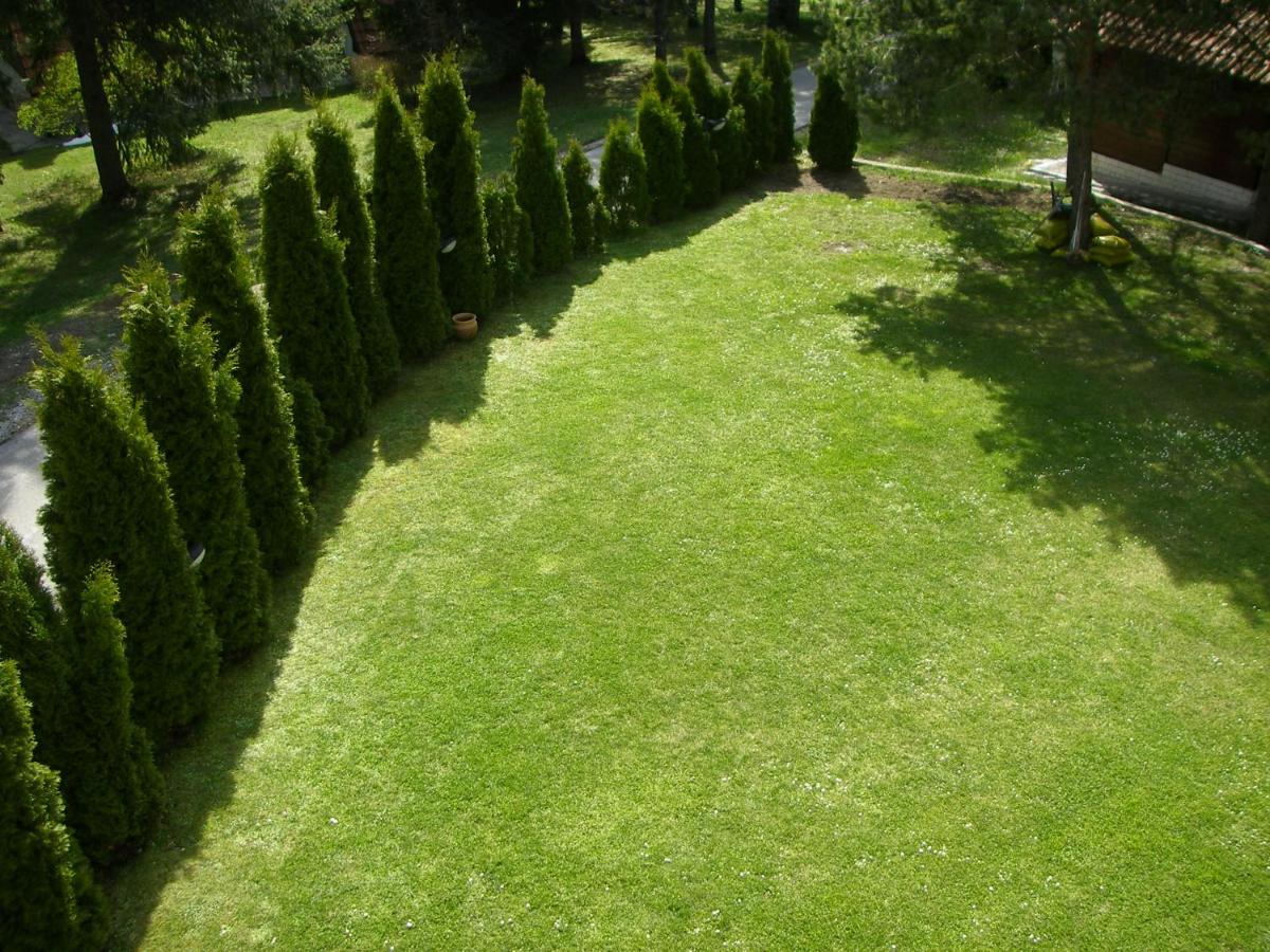 Apartments Vila Knez - B&B
