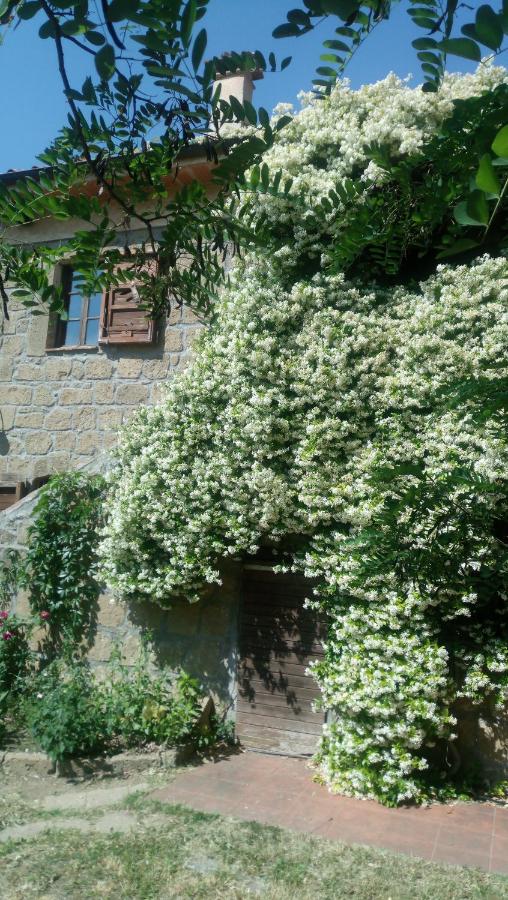 Agriturismo Solidor - B&B