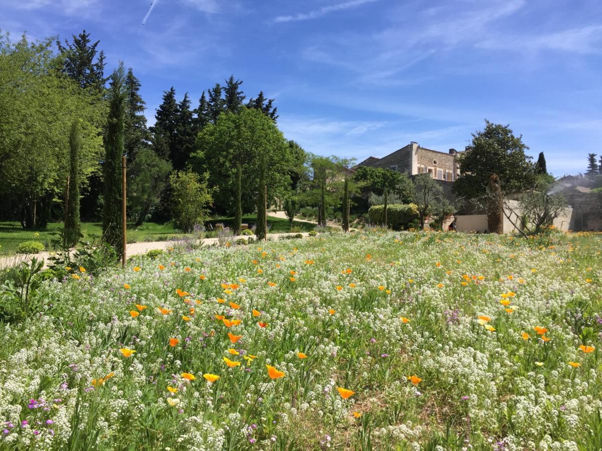 B&B Gordes - Domaine Les Martins - Gordes - Bed and Breakfast Gordes