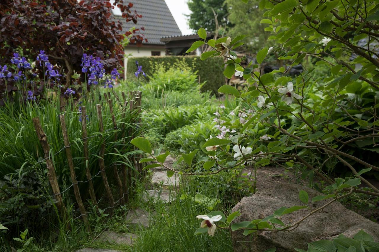 Bed & Breakfast Horsens - B&B Horsens